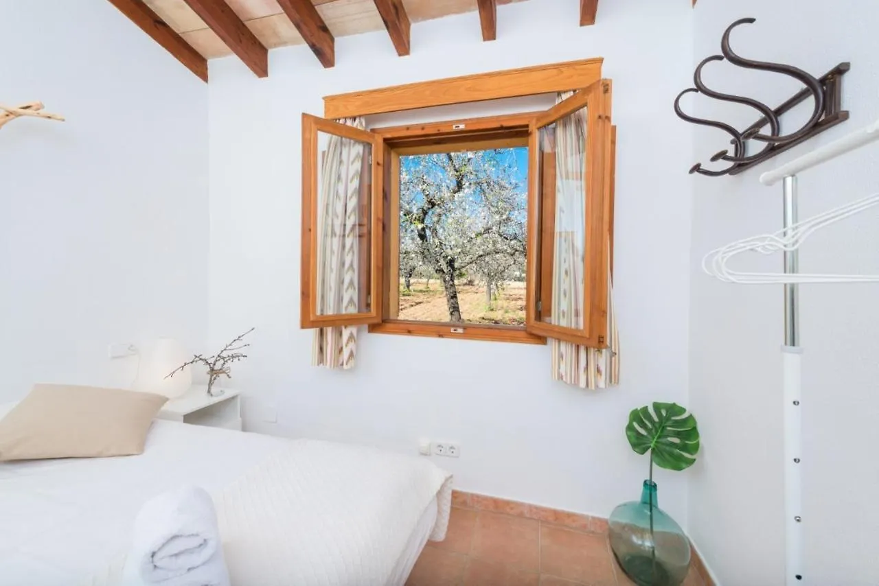 Yourhouse Lemontree - Can Antic Lloseta 0*,  Spain