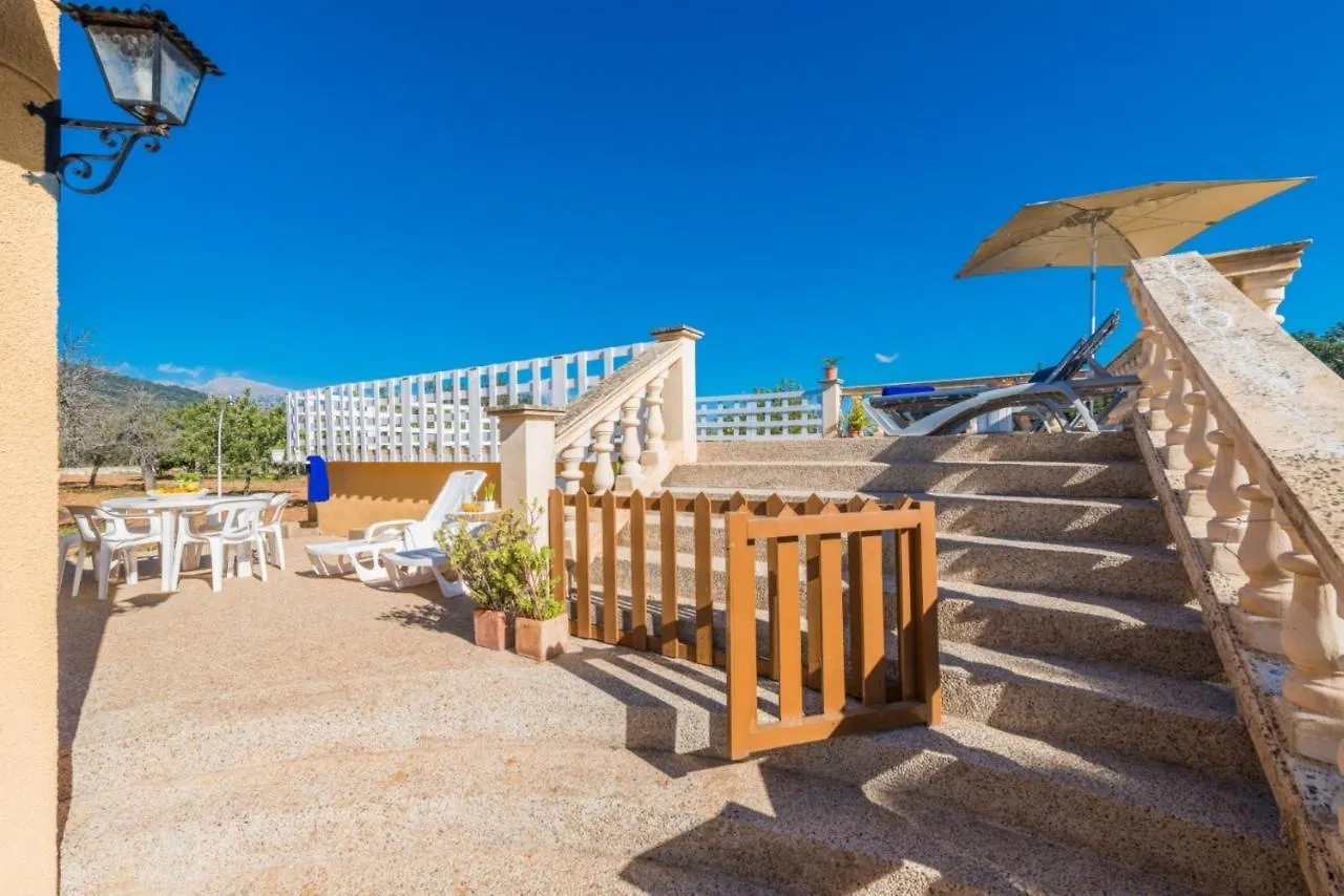 Yourhouse Lemontree - Can Antic Lloseta Spain