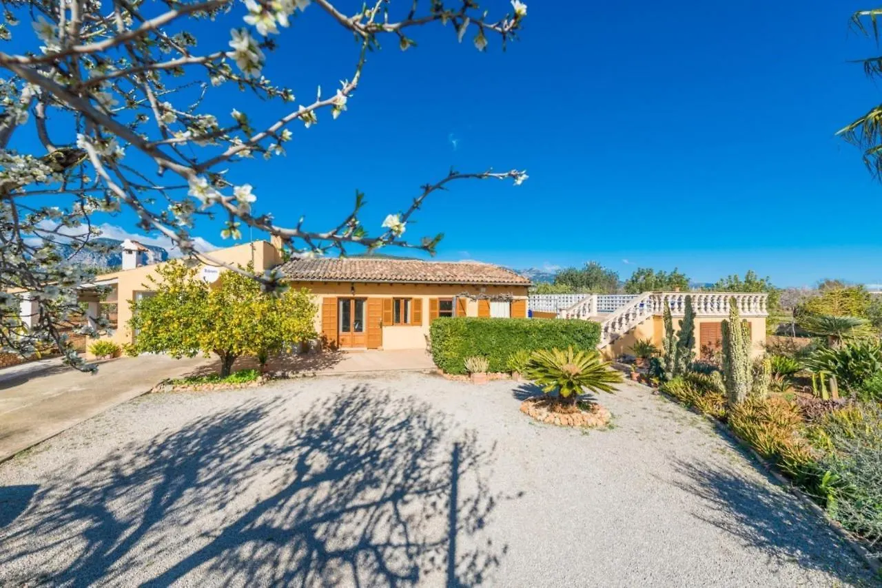 Yourhouse Lemontree - Can Antic Lloseta Villa